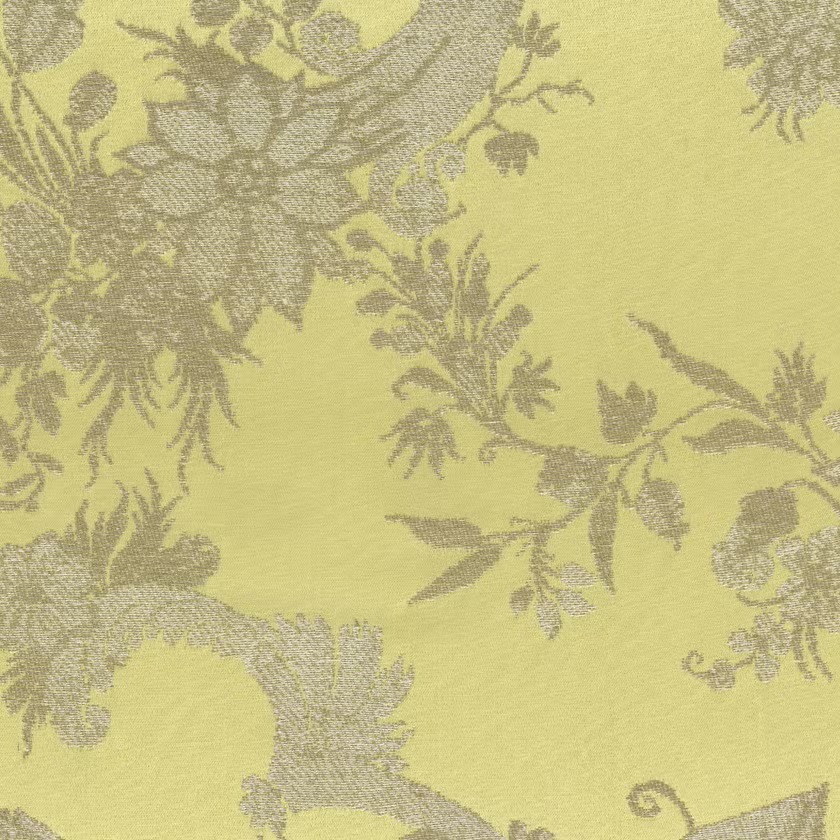 vai-nhap-khau-ola-Yvonne-y-4